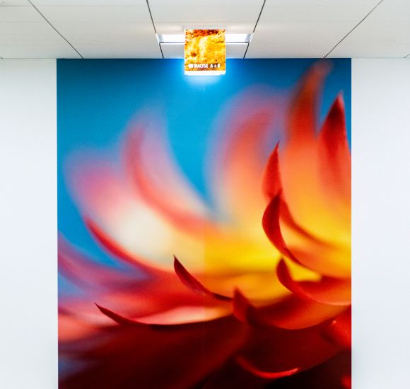 Bilder in der Praxis